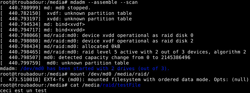 Successful test of the RAID5 drives