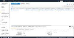 Interface de gestion de l'instance AWS