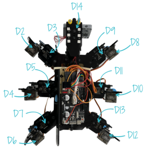 Association des PINS et des Servos