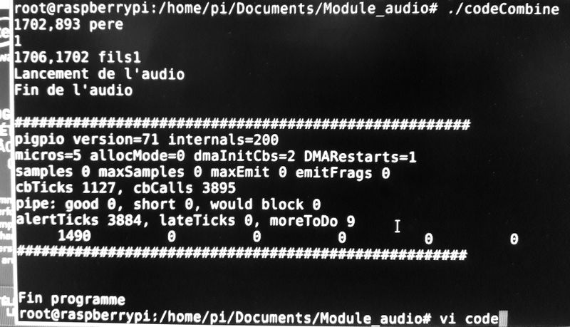 Fichier:Err pigpio.jpg