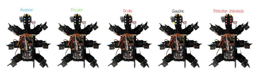 Gestion des leds pour les différentes commandes