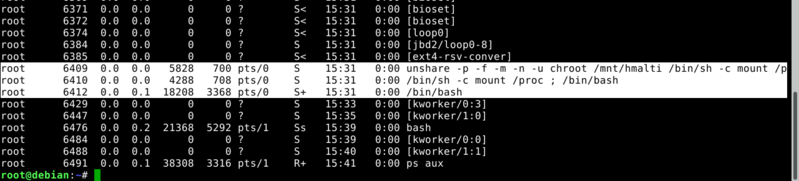 Fichier:Host ps aux.png