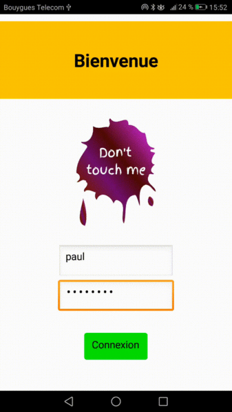 Fichier:P16 video appli.gif