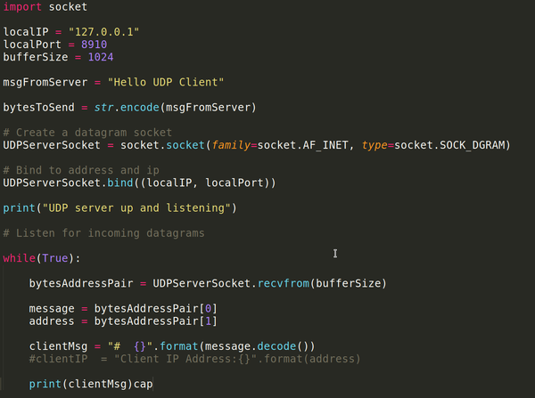 P8 demo serverpy.png