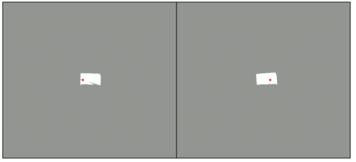 P9 printcanvasGray.png