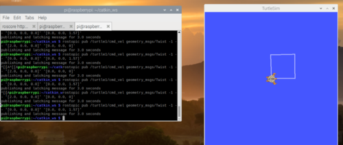 P9 turtle1 carre.png