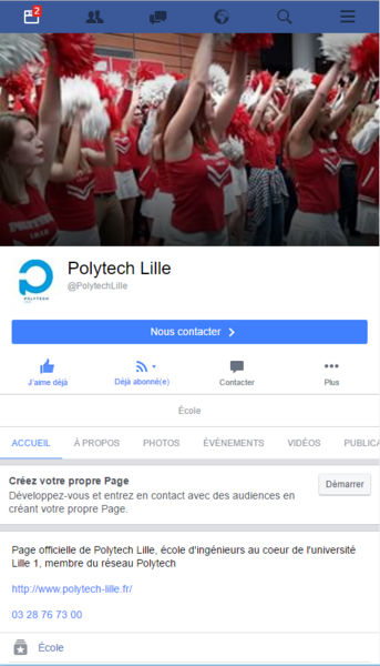 Fichier:Polytech graphique.png