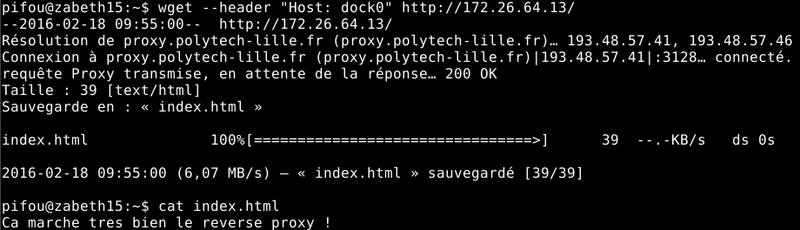 Fichier:Reverse denech.png
