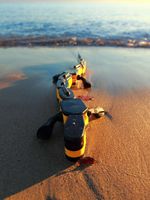 Salamandra robotica II.jpg