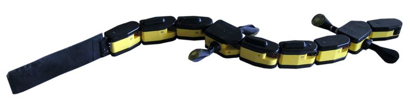 Fichier:Salamandra robotica II2.jpg