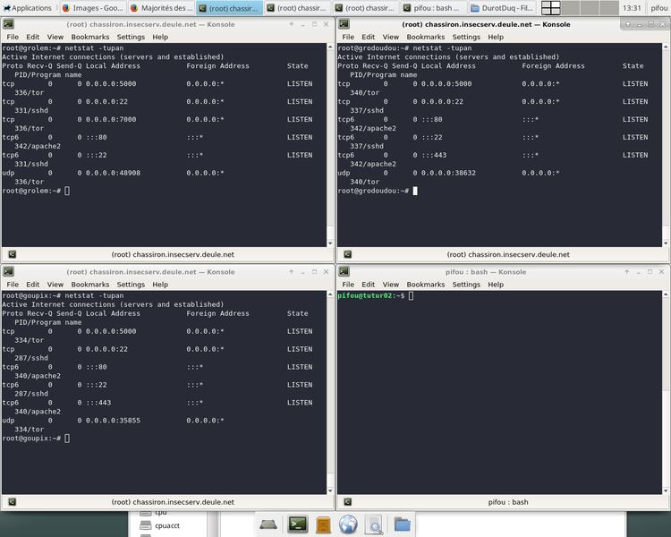 Fichier:Tor socks2.png